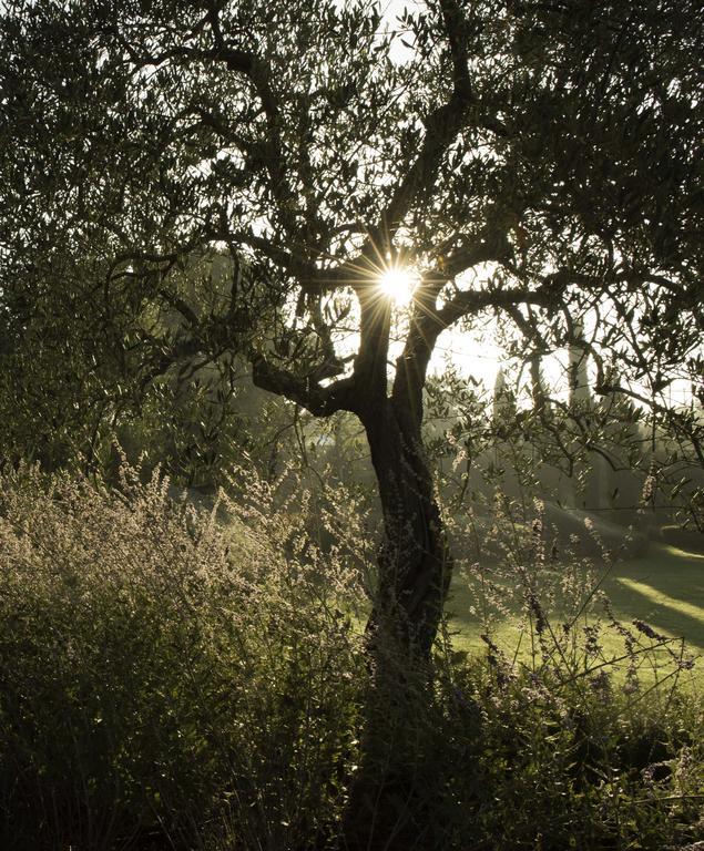 Tenuta Santo Pietro Pienza Exterior foto